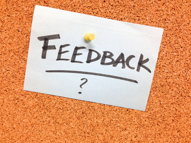 How Project Managers Need to Balance Positive and Negative Feedback
